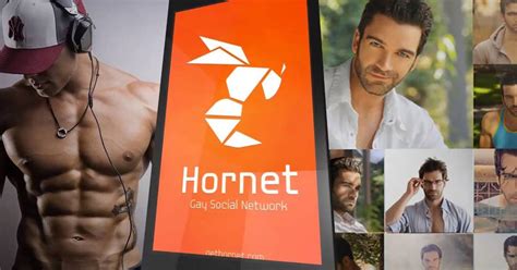 Hornet gay social network